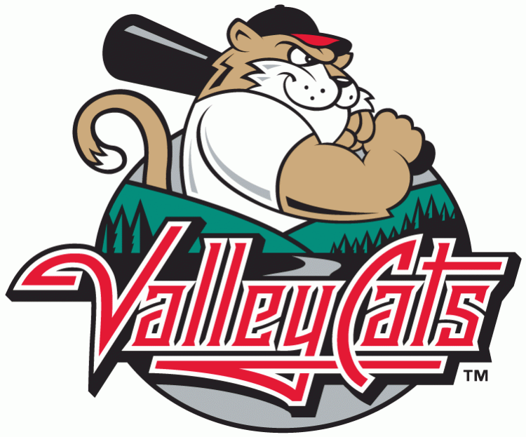 Tri-City Valleycats 2002-Pres Primary Logo iron on transfers for clothing